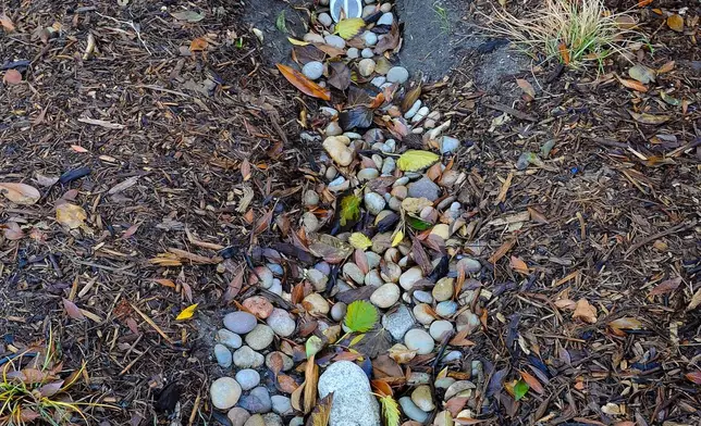 FILE - A pipe from a backyard cistern protrudes into the front yard of a home in North Hollywood, Calif., on Jan. 7, 2016, where where rain water captured in the cistern can be released into a sunken rain garden. (AP Photo/Michael Owen Baker, File)