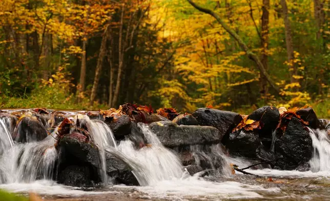 Water flows down the Big Poe Creek on an autumn day in Woodward, Pa., Wednesday, Oct. 14, 2026. (AP Photo/Matt Rourke)