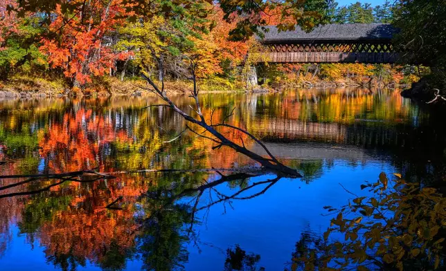 Water flows down the Contoocook River passing the colorful foliage of trees towards a covered bridge, Thursday, Oct. 15, 2026, in Henniker, N.H. (AP Photo/Charles Krupa)