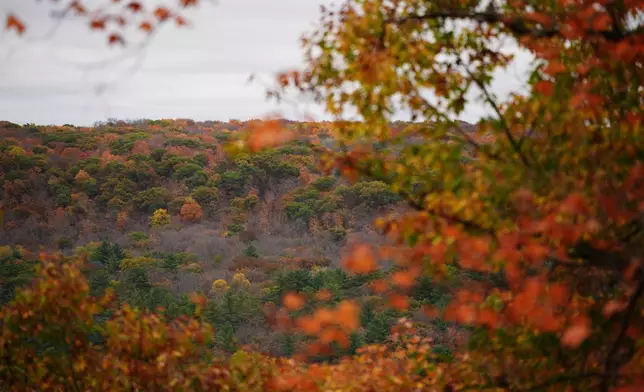 A hiking trail overlooks autumn colors, Tuesday, Oct. 13, 2026, at Interstate State Park in Taylors Falls, Minn. (AP Photo/Ellen Schmidt)