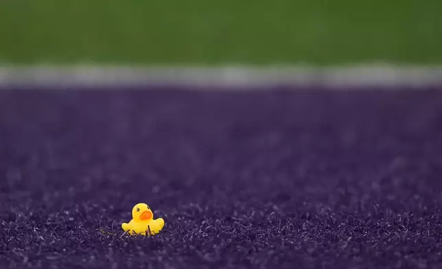 FILE - A small rubber duck sits in the end zone after being thrown from the stands during the second half of an NCAA college football game between Washington and Oregon, in Seattle, Nov. 29, 2025. (AP Photo/Lindsey Wasson, File)