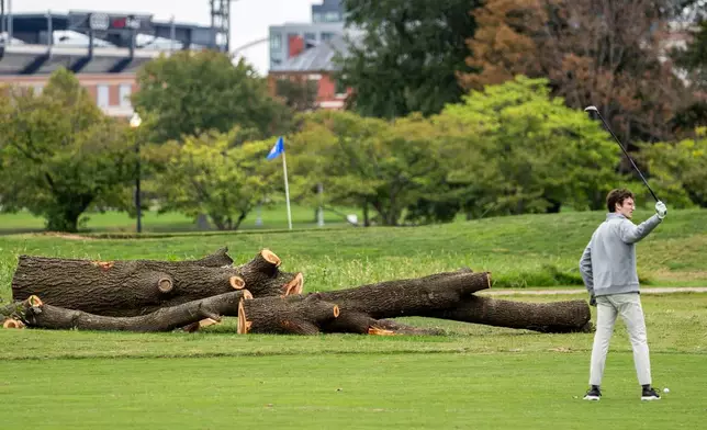 A golfer pauses near recently cut down trees as the National Park Service begins removing trees at East Potomac Golf Links, Saturday, Oct. 10, 2026, in Washington. (AP Photo/Nathan Howard)