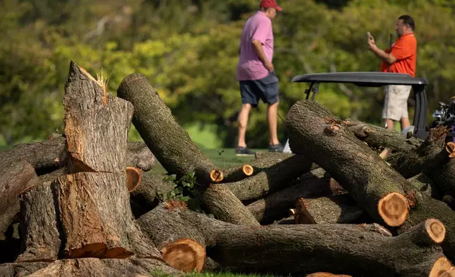 Golfers tee off near log sections cut and tree stumps at the East Potomac Golf Links, Monday, Oct. 12, 2026, in Washington. (AP Photo/Mark Schiefelbein)