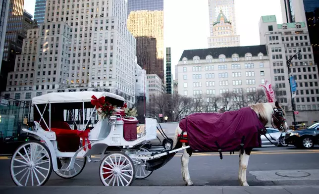 FILE - A carriage horse is covered with a blanket, waiting for customers on Central Park South in New York on Jan. 13, 2016. (AP Photo/Mary Altaffer, File)