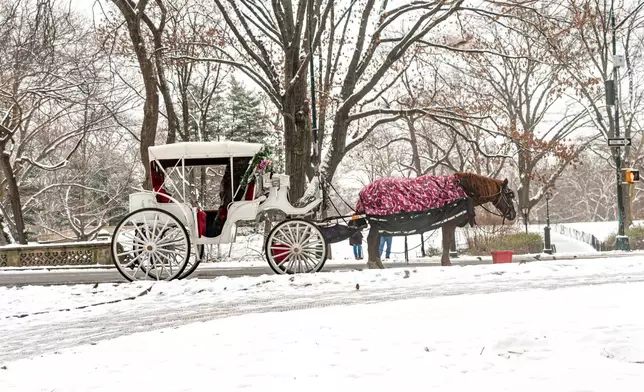 FILE - A horse and carriage are seen in the snow in Central Park on Jan. 16, 2024, in New York. (AP Photo/Peter K. Afriyie, File)