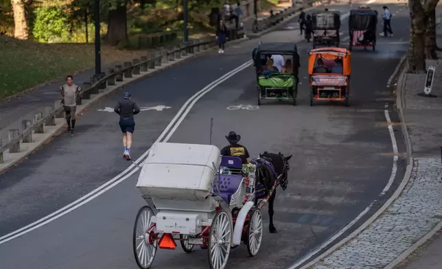 A horse-drawn carriage takes passengers for a loop through Central Park, Wednesday, Oct. 14, 2026, in New York. (AP Photo/Yuki Iwamura)