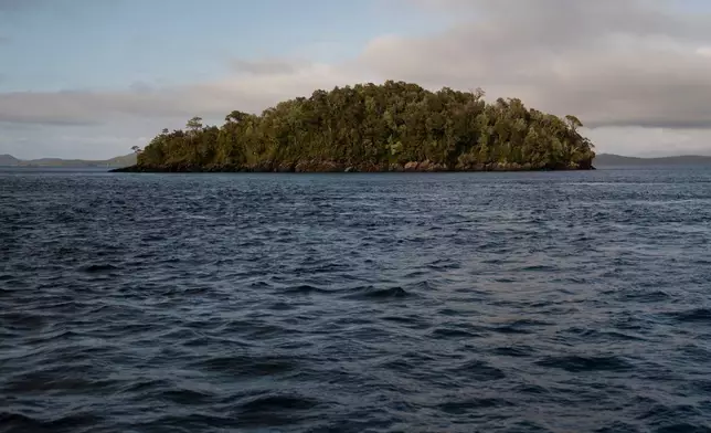 Water surrounds an island in the Guaitecas Archipelago, Chile, Thursday, May 22, 2025. (AP Photo/Adriana Thomasa)