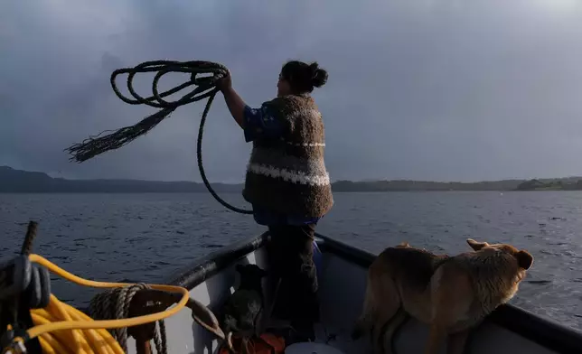 Yesica Fabiana Leviñanco prepares to dock a boat after a fishing trip for mussels in Repollal, in the Guaitecas Archipelago, Chile, Wednesday, May 21, 2025. (AP Photo/Adriana Thomasa