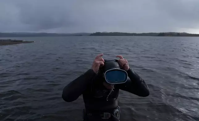 Paulo Vera Perez prepares to dive into the sea in Repollal, in the Guaitecas Archipelago, Chile, Wednesday, May 21, 2025. (AP Photo/Adriana Thomasa)