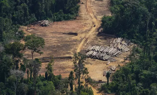 An illegal logging camp is visible in Saamaka territory of the Amazon rainforest in Suriname, Wednesday, Sept. 30, 2026. (AP Photo/Ivan Valencia)