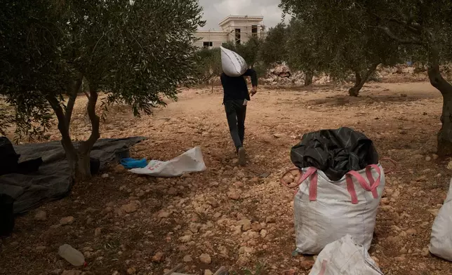 A Palestinian man carrying a sack of olives runs away from the tear gas thrown by Israeli forces following a settler attack during the harvest in the West Bank village of Abu Falah, Friday, Oct. 16, 2026. (AP Photo/Leo Correa)