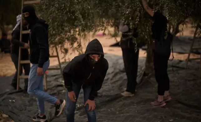 A Palestinian youth observes the movement of the Israeli forces as they collect olives following an attack by Israeli settlers in the West Bank village of Abu Falah, Friday, Oct. 16, 2026. (AP Photo/Leo Correa)