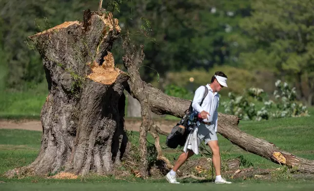 A golfer walks past the stump of a large tree at the East Potomac Golf Links, Monday, Oct. 12, 2026, in Washington. (AP Photo/Mark Schiefelbein)
