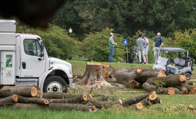 Golfers pass trees recently cut down by the National Park Service, at East Potomac Golf Links, Saturday, Oct. 10, 2026, in Washington. (AP Photo/Nathan Howard)