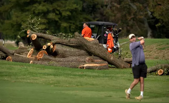 Golfers hit from the fairway near log sections cut from trees at the East Potomac Golf Links, Monday, Oct. 12, 2026, in Washington. (AP Photo/Mark Schiefelbein)