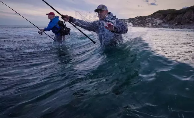 Ryan Cabral, of Dartmouth, Mass, right, and his guide Bill Wetzel fish in the surf for striped bass Friday, Oct. 9, 2026, in Montauk, N.Y. (AP Photo/Robert F. Bukaty)