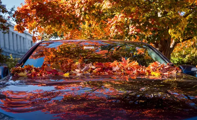 Fallen leaves are pictured on car parked on Capitol Hill in Washington, Friday, Oct. 30, 2026. (AP Photo/J. Scott Applewhite)