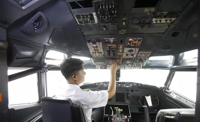 顧客可到駕駛艙模擬機師駕駛(網上圖片)