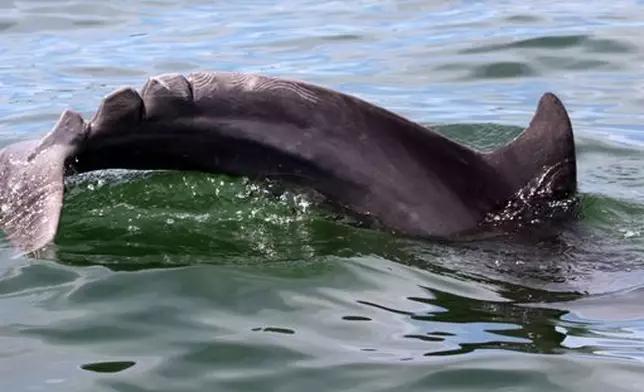 Babyface靠着自己的能力自然地康復（網上截圖）