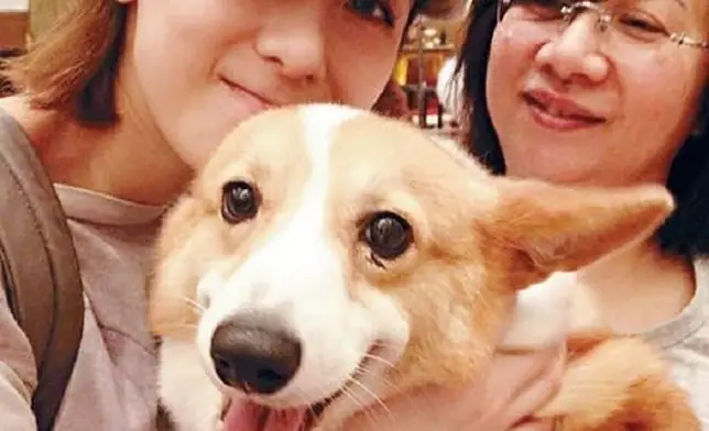 泳兒的媽媽突然腦出血入住醫院深切治療部（網上圖片）