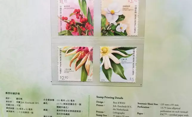 四種珍稀植物，分別為細花冬青(左上)、二色石豆蘭(左下)、香港秋海棠(右上)和大嶼八角(右上)。