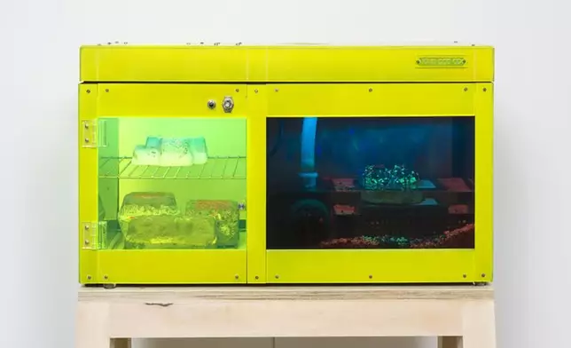 《Erosion Machine》（1969）﹝網上圖片﹞