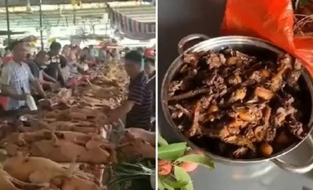 玉林狗肉節如期舉行，肉販不戴口罩處理狗肉。(網上圖片)