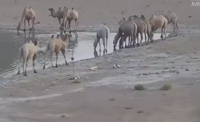 視頻截圖
