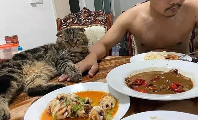 Jarvis：看到了嗎？他是我的！(網上圖片)