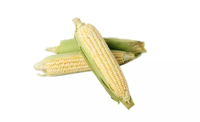 白色粟米。GETTY圖片