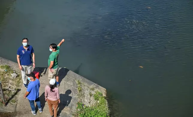 民主黨接獲上水石湖新村居民投訴，發現梧桐河有魚類被放生。