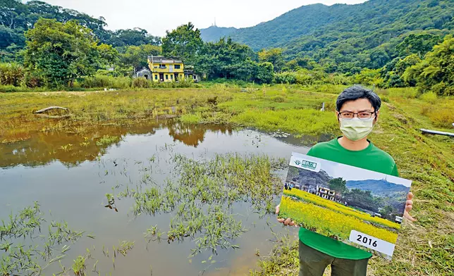 「綠色力量」將油菜花田回復至沙螺洞的濕地生態。