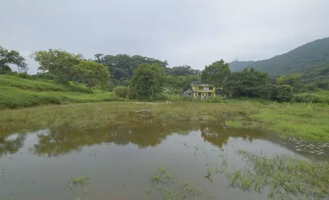 「綠色力量」經過兩年多努力，近月已成功復育生態池塘和人工沼澤。