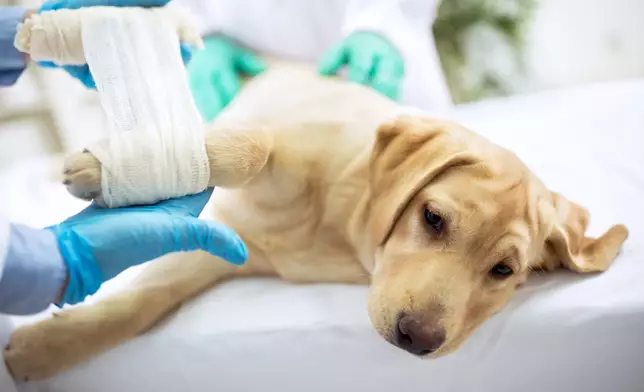 自毛價保推出以來，數以千計的客戶已成功獲得保障。