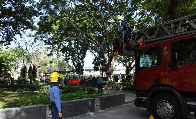 消防救爬樹拯救「金仔」