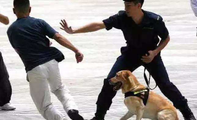 阿龍曾任職海關17年，最初9年做領犬員。