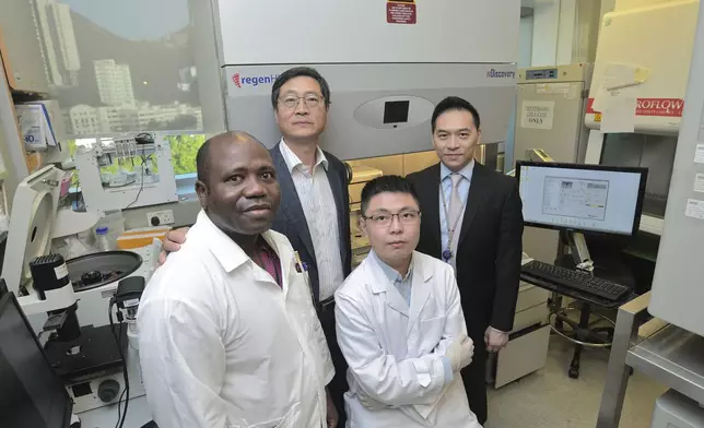港大醫學院矯形及創傷外科學系研究3D打印人體組織及器官團隊：呂維加教授(後排左)和楊偉國教授(後排右)。