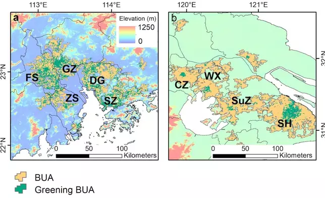 珠江三角洲、長江三角洲城市群建成區的綠化程度。港大提供