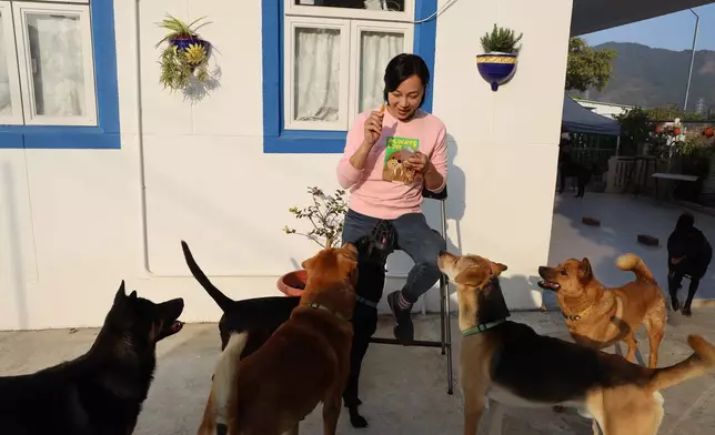 April創辦流浪狗安樂窩──「浪浪之家」