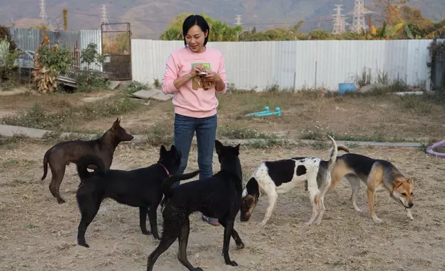 April創辦流浪狗安樂窩──「浪浪之家」