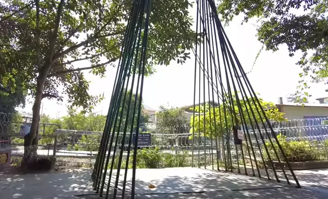 巨大鞦韆一蕩就出國（影片截圖）