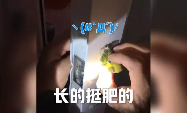 影片截圖