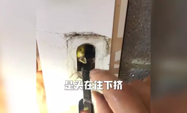 影片截圖