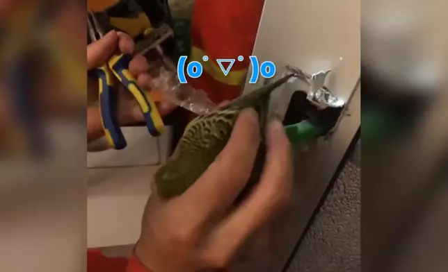影片截圖