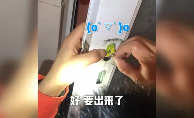 影片截圖
