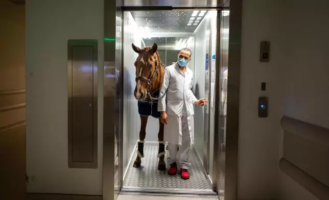 Peyo由馬術教練Hassen帶領，到每區醫院進行探訪。( 網上圖片)