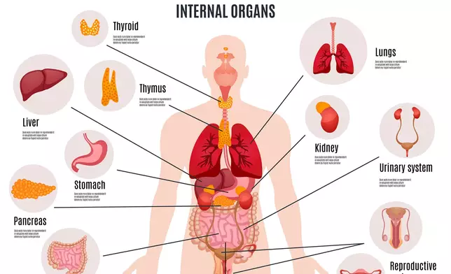 shutterstock示意圖片