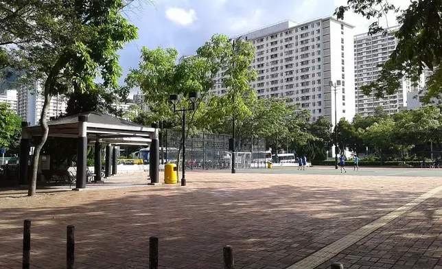 翠田街足球場 (網圖)