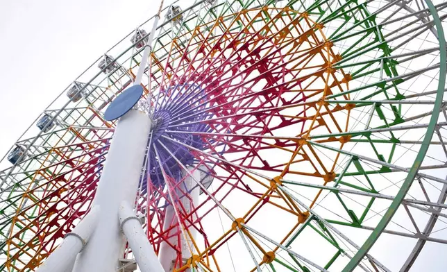 「閃耀之花摩天輪」（網上圖片）