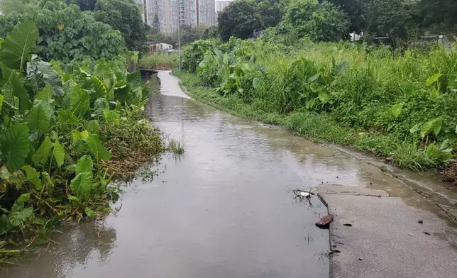 上水天平山村今日曾經水浸。